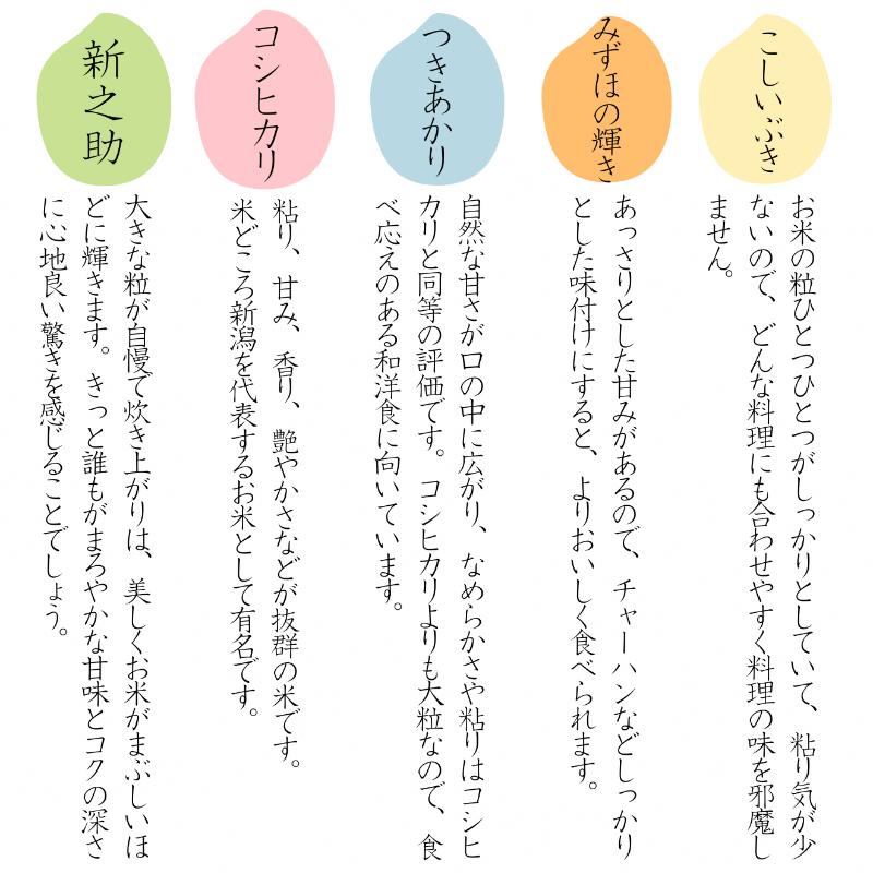 令和7年 新潟県産みずほの輝き 30kg 30キロ（5kg×6回） 定期便 （毎月発送） 米ヴィレッジさんわ 自社精米 米 白米 送料無料 上越市で生まれたオリジナル ブランド米 限定