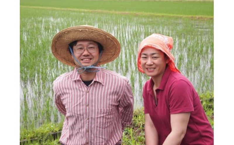 【もち米】【真空チャックパック】新潟産こがねもち（もち米）2Kg×2袋 新潟 上越