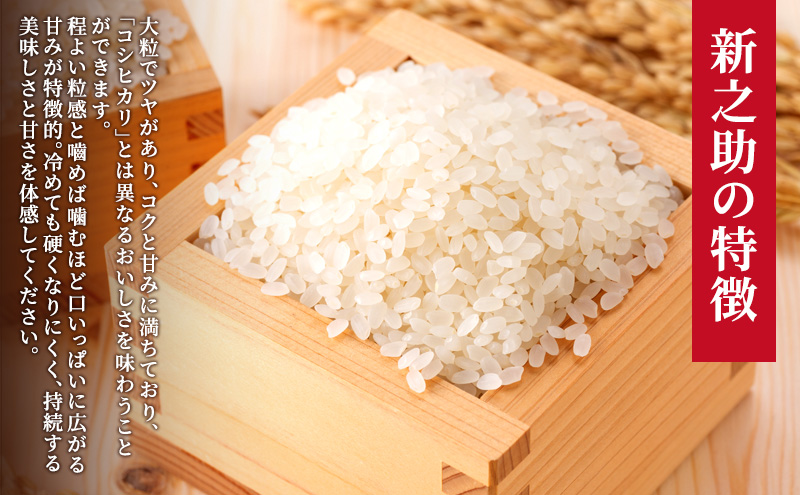 【新潟県上越市産】特別栽培米 新之助 令和7年産 20kg（5kg×4袋）ご飯 おにぎり