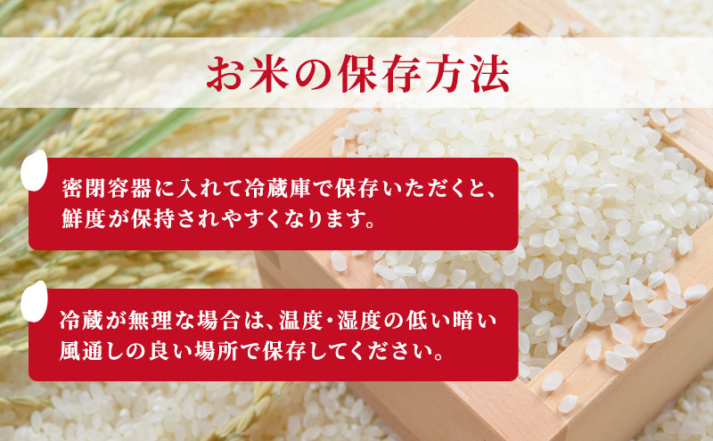 【新潟県上越市産】特別栽培米 コシヒカリ 令和7年産 20kg（5kg×4袋）ご飯 おにぎり