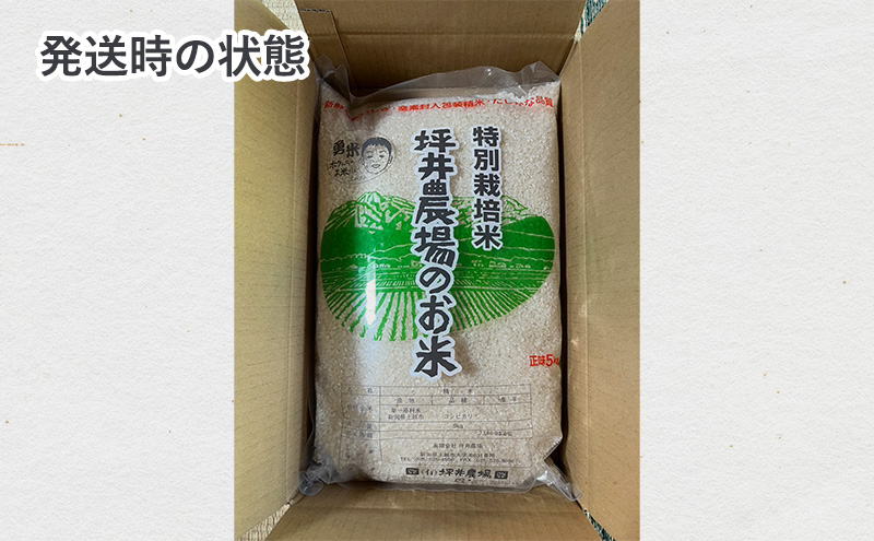 【10月上旬より順次出荷】令和7年産 新潟県 上越市産 コシヒカリ 10kg 精米