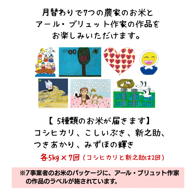 令和7年産 新潟県産 米 5kg 5キロ 食べ比べ 7回 定期便 コシヒカリ こしいぶき 新之助 つきあかり みずほの輝き アール・ブリュット アート 先行予約 新米 上越市 上越産 おすすめ 限定
