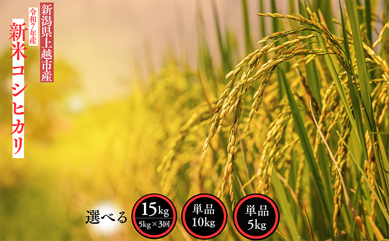 【ふるさと納税】新米 令和7年産 新潟県 上越市産 コシヒカリ 10kg 10キロ 精米 10月下旬より順次出荷 米 お米 白米