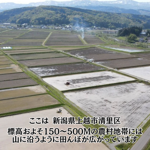 【1月下旬配送】令和7年産　新潟県 清里産コシヒカリ 10kg 上越市　白米　こめ　新潟 新潟県産 上越