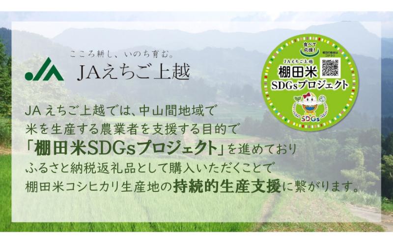 【1月下旬配送】令和7年産  えちご上越米 棚田米 コシヒカリ 10kg 10キロ 上越市 精米 米 コメ おすすめ