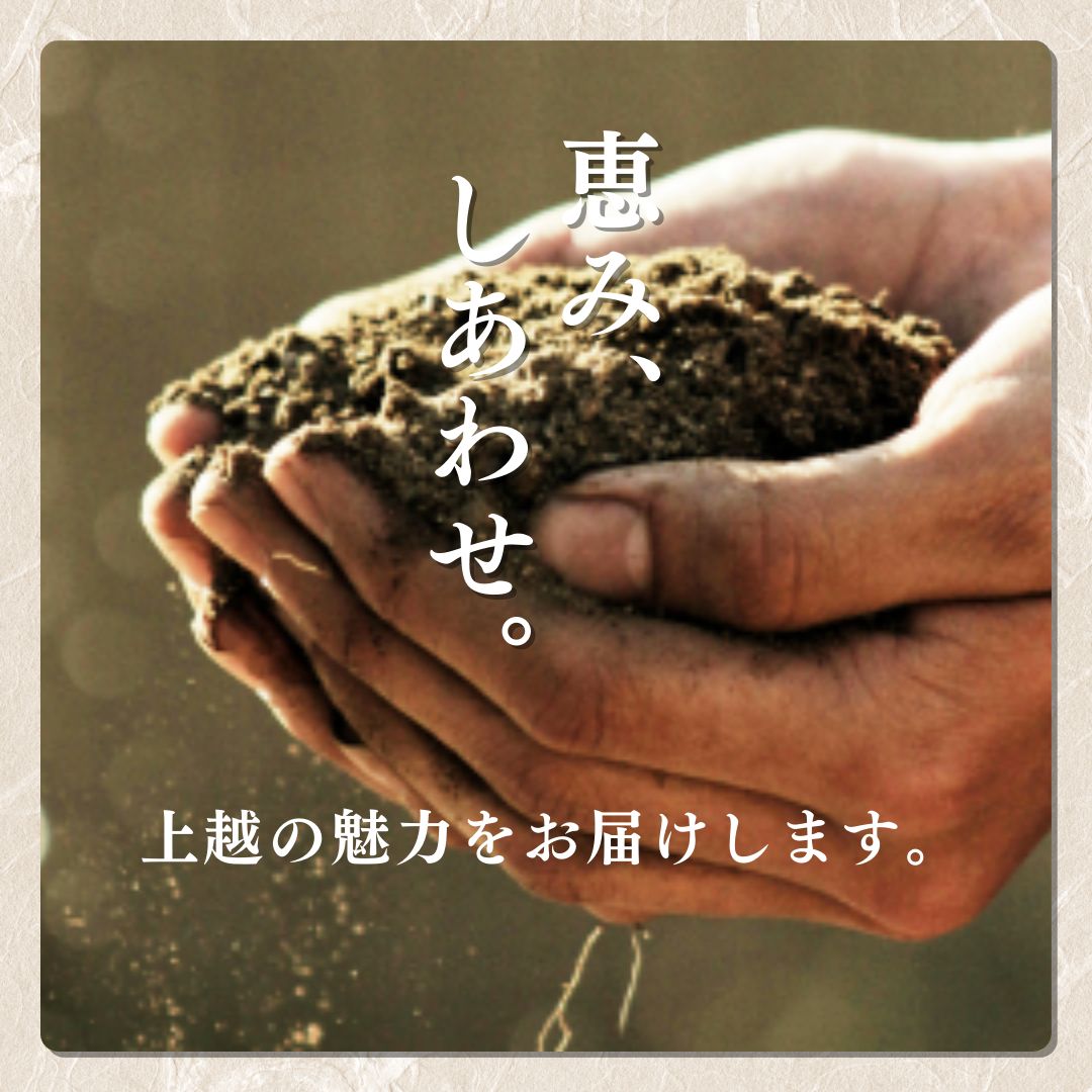 【先行予約】令和8年 新米 新潟上越産コシヒカリ 定期便 【6ヶ月連続お届け】5kg×6回 30kg 新潟 米 新潟県 こしひかり 限定 おすすめ