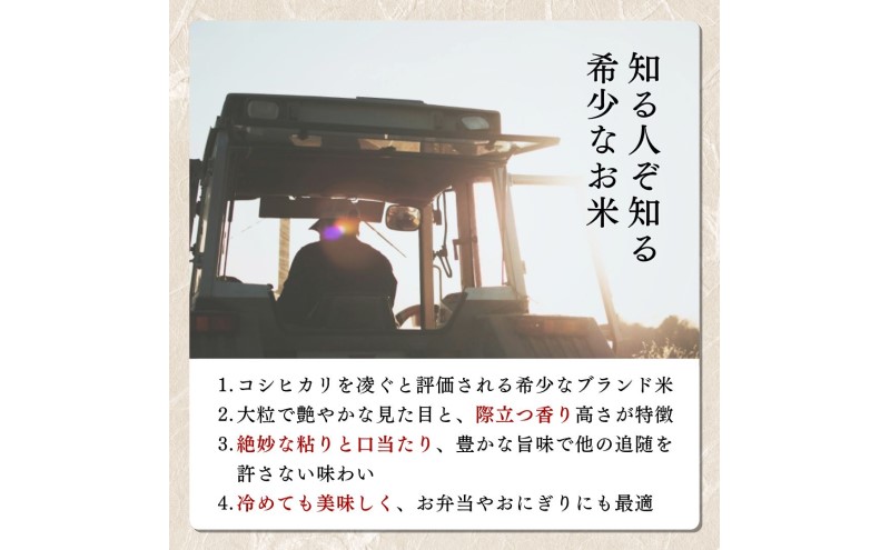【令和8年12月配送】先行予約 新米 新潟上越産 みずほの輝き 5kg 新潟 米 新潟県 限定