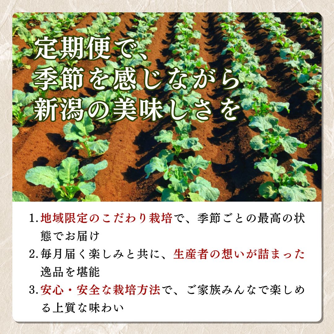 【先行予約】令和8年 新米 新潟上越産 みずほの輝き 定期便 【6ヶ月連続お届け】5kg×6回 30kg 新潟 新潟県 限定