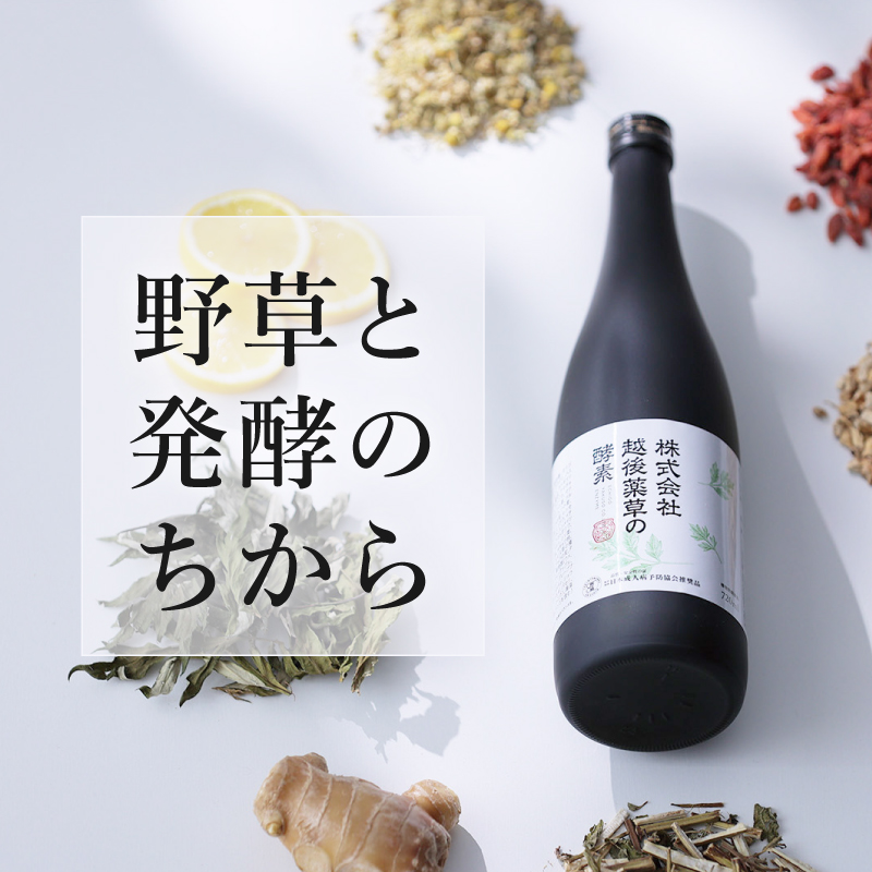 株式会社越後薬草の酵素 720ml 3本 越後薬草 植物発酵飲料 野草酵素 ファスティング 置き換え 断食 健康 美容 ドリンク 瓶 国産 送料無料 新潟 新潟県産 にいがた 上越 上越産