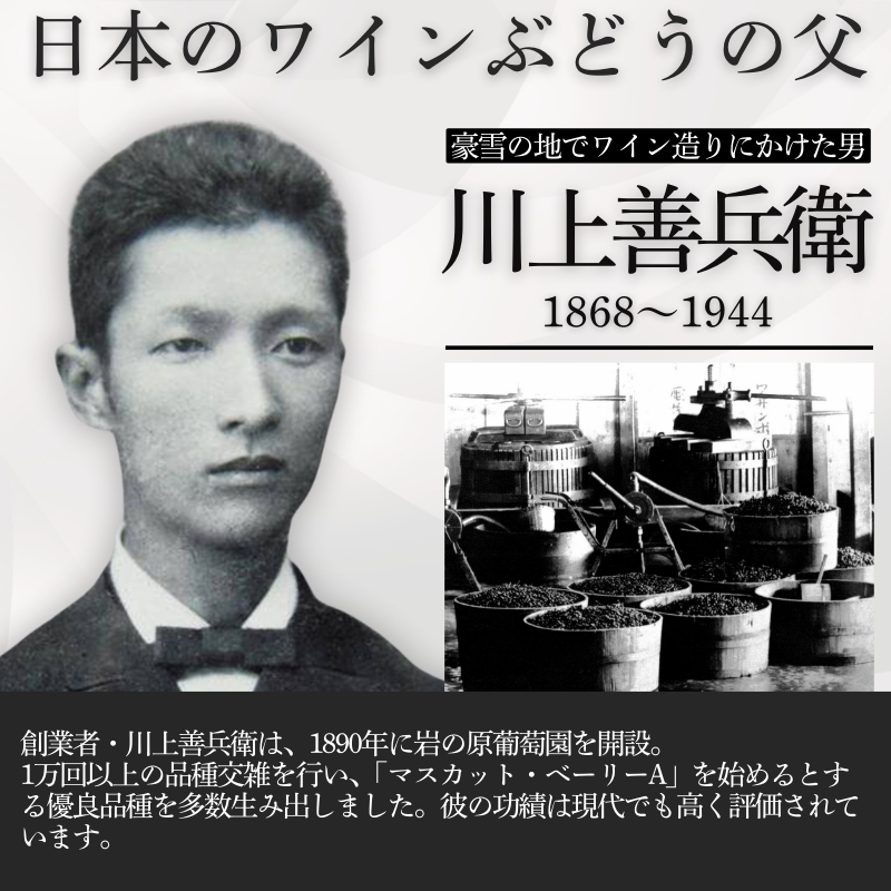ワイン サクラアワード2024 銀賞 岩の原ワイン 善 赤 1本 720ml 最短3日で発送