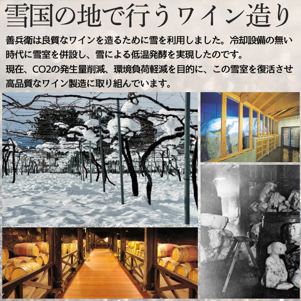 ワイン サクラアワード2024 ロゼワイン賞 ダブルゴールド 岩の原ワイン 善 ロゼ 3本 720ml お酒 岩の原 酒 新潟 上越  最短3日で発送