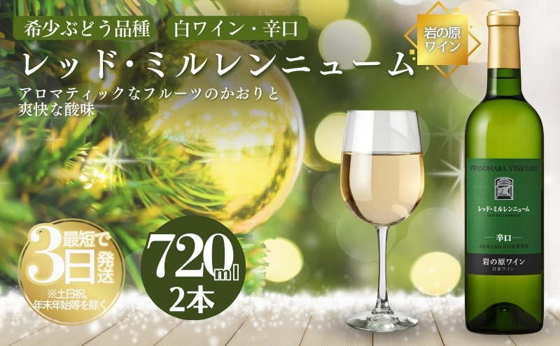 ワイン 岩の原ワイン レッド・ミルレンニューム 2本 720ml 希少ぶどう品種 辛口 お酒 希少 ぶどう 岩の原 新潟 上越 最短3日で発送 お届け：7日以内にお届けします。