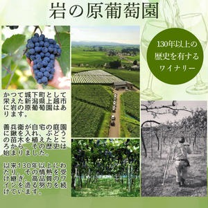 ワイン 岩の原スパークリングワイン 白 ロゼ 瓶内二次発酵 4本セット （白×2本、ロゼ×2本 各750ml） お酒 岩の原 酒 新潟 上越 最短3日で発送