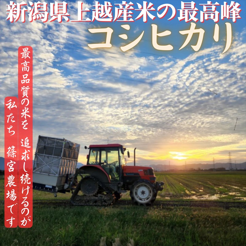 令和8年産 新米 先行予約 新潟県産 コシヒカリ 30kg（5kg×6回） 定期便 最高品質のお米を追求し続ける 篠宮農場 上越市 精米