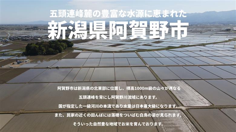 【令和7年産】【5回定期便】米杜氏 新潟県阿賀野市産 特別栽培米コシヒカリ5kg×5回 1H04091