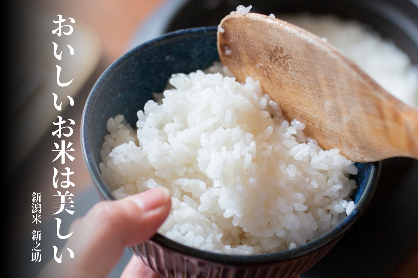 【令和7年産】 特別栽培米 新之助 5kg (5kg×1袋) 米杜氏 壱成 白米 精米 大粒 つや 光沢 弾力 芳醇 1H46019