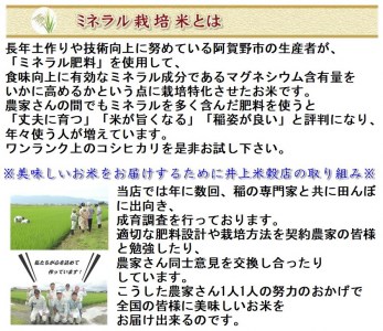 【令和7年産】12ヶ月定期便 ミネラル栽培こしひかり 5kg×12回 計60kg 白米 精米 井上米穀店 1I04181