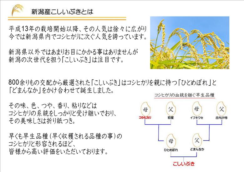 お米マイスターいち押し！！【令和7年産】新潟産こしいぶき 5kg 井上米穀店 1I28013