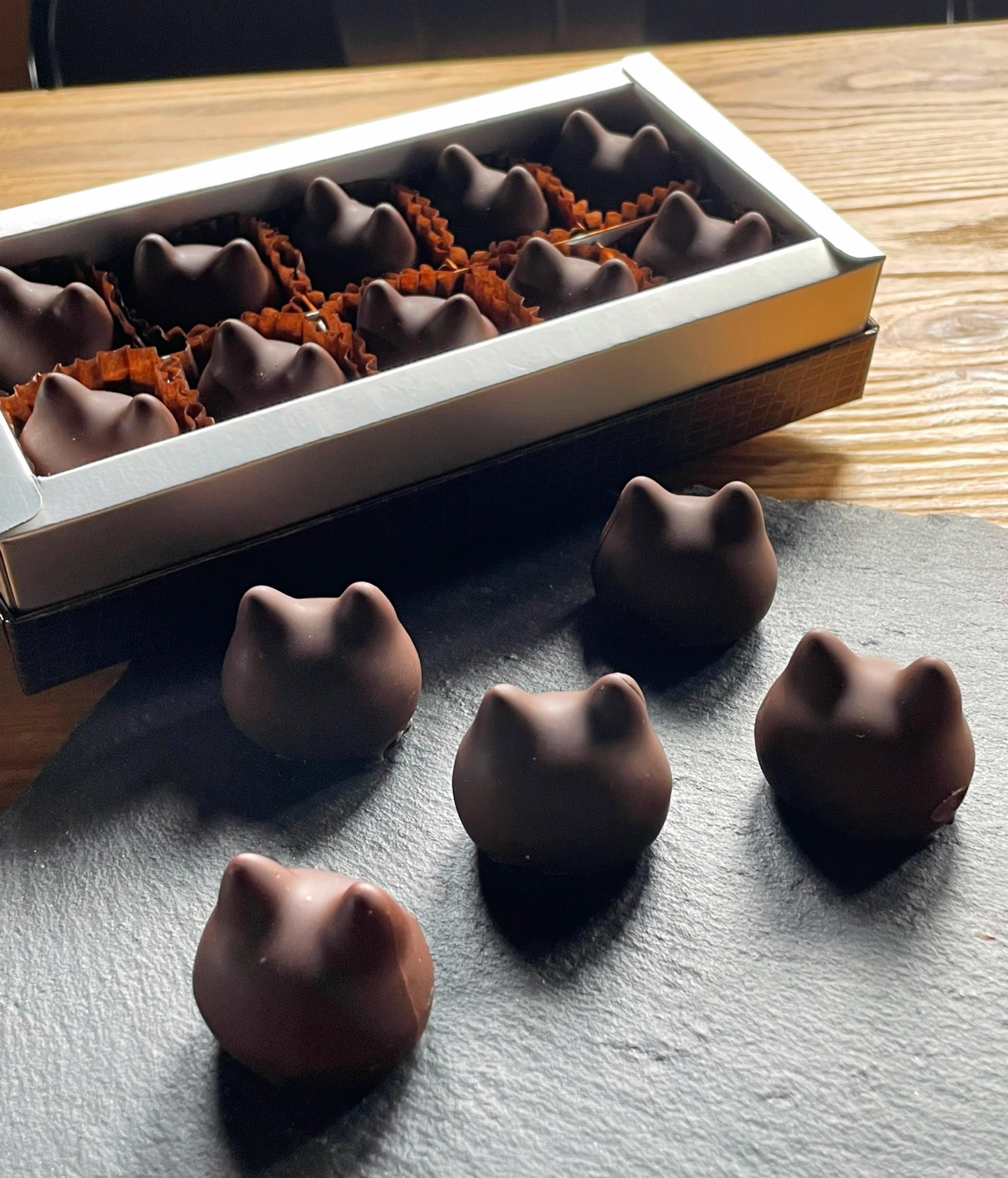 しょこら亭 猫チョコ（jomon）10個入×2セット 1Z35036