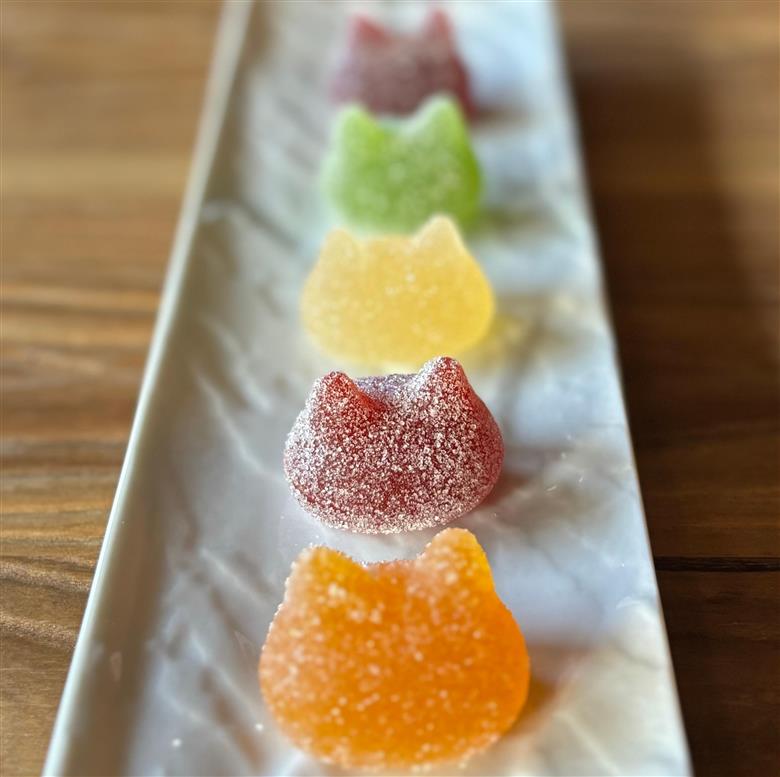 しょこら亭 シャ・ド・フリュイ（chat・do・fruits） 10個入×2セット 1Z39023