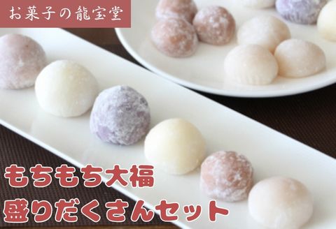 お菓子の龍宝堂 もちもち大福盛りだくさんセット 2B04022