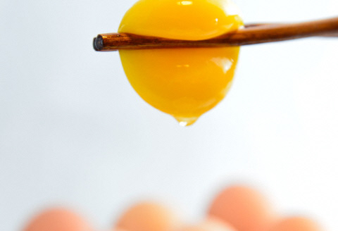 平飼い有精卵セット（5種各6個・計30個） ひよころ鶏園 1R02011