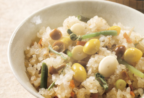 【たんぱく質調整食品】 1/25 越後 米粒タイプ 1kg×6袋 バイオテックジャパン 越後シリーズ 1V03048