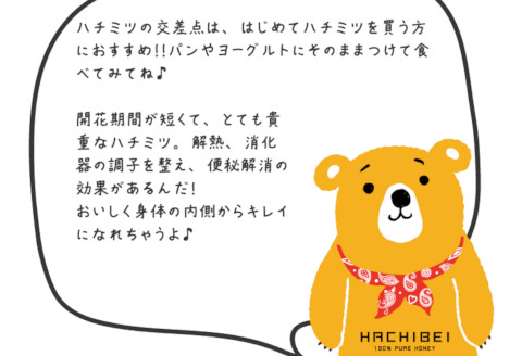 【グッドライフアワード環境大臣賞受賞】 HACHIBEI 阿賀野産 天然 はちみつ 3本セット  1L02013