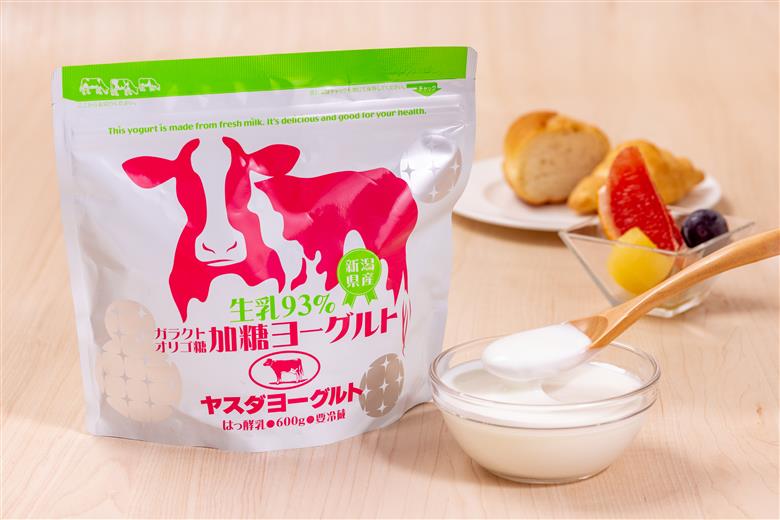 【12/21までの寄附で年内発送】【3年連続最高金賞】ヤスダヨーグルト  食べるヨーグルト 600g×4個 アレンジ名人セットB オリゴ糖 1B50008