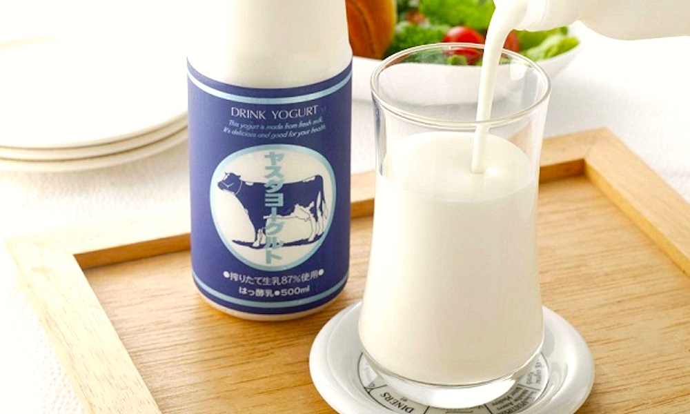 【12/21までの寄附で年内発送】【3年連続最高金賞】ヤスダヨーグルト 大ボトル 800g×3本 1B60007