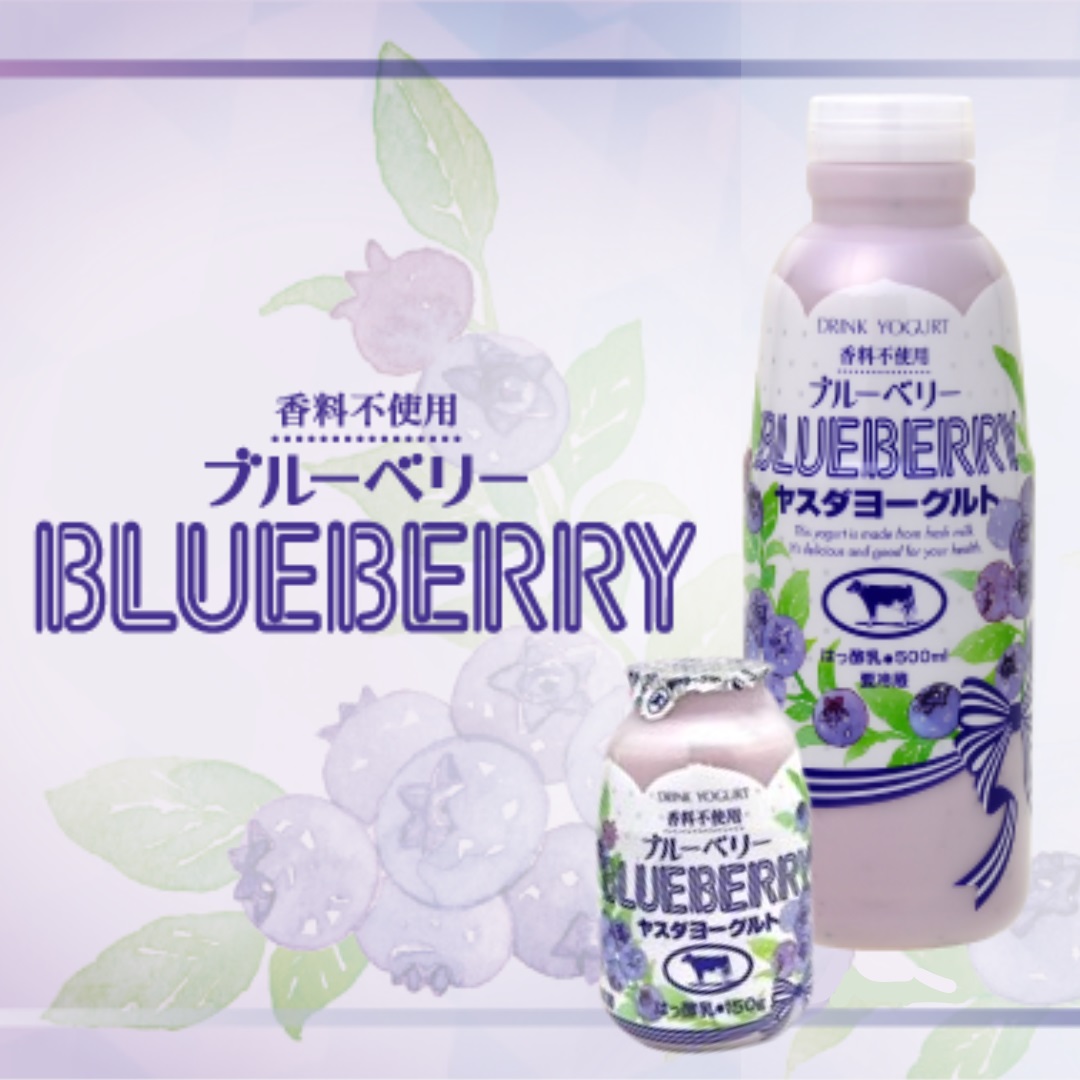 【12/21までの寄附で年内発送】ヤスダヨーグルト 特別お試しセット 人気大ボトル3本 + 小ボトルブルーベリー2本セット 1B73007