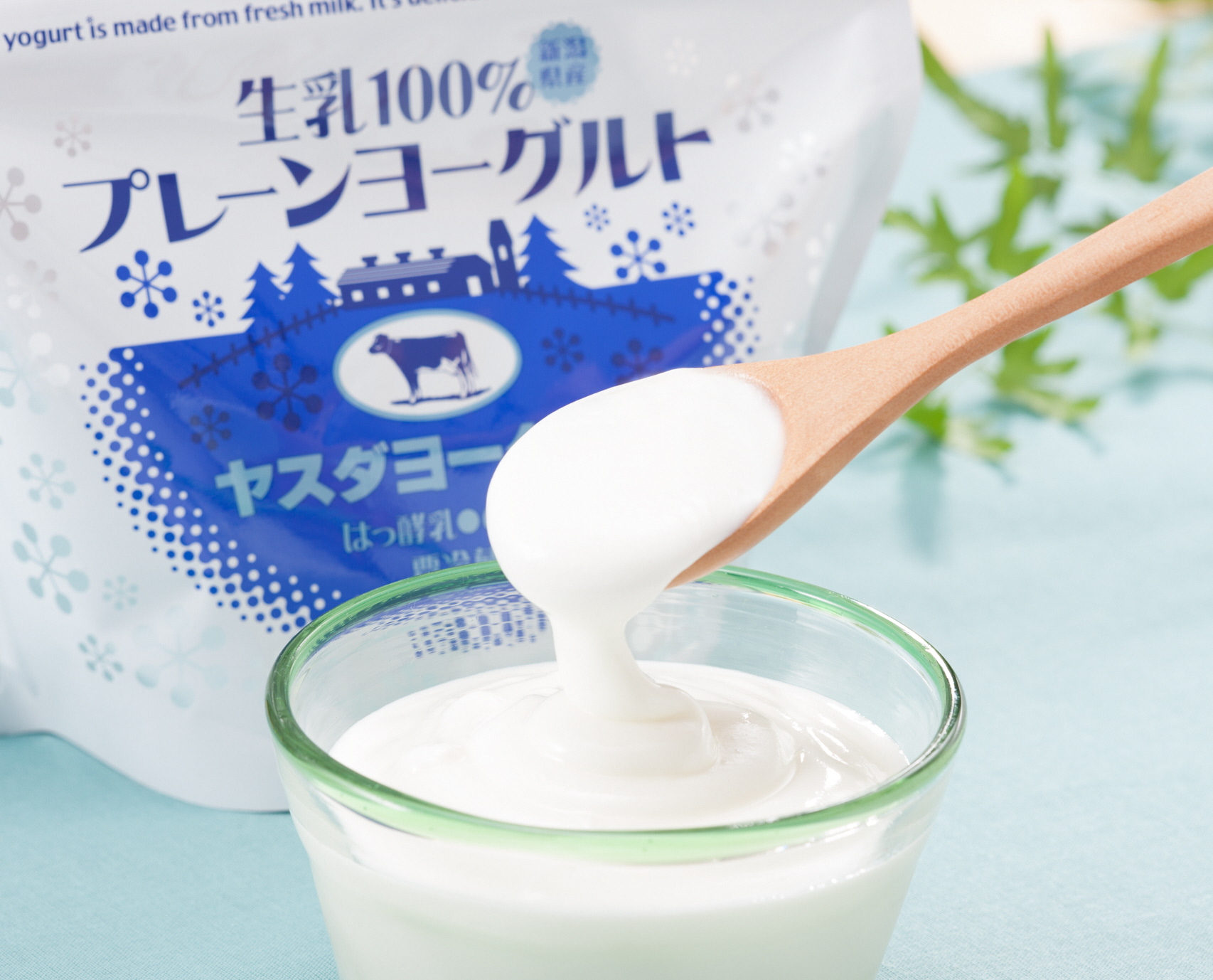 【7ヶ月定期便】ヤスダヨーグルト 食べるヨーグルト 600g×4個×7回 アレンジ名人セットA プレーン 1B80043