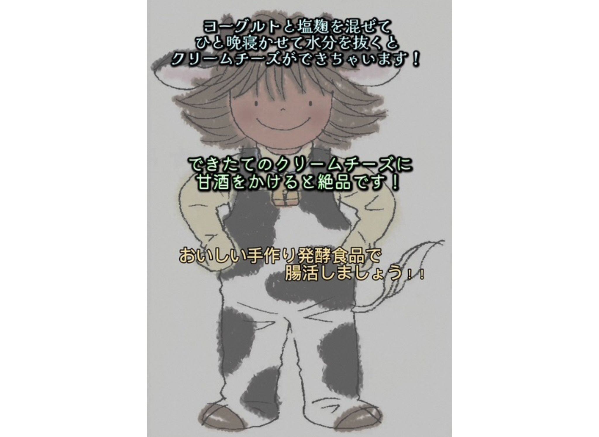 ＜冬春限定＞作って楽しい腸活クリームチーズ　手作りキット（レシピ付き） 1B88013