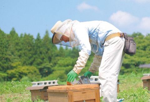 【環境大臣賞受賞】【特別賞受賞】HACHIBEI 新潟県産 天然 はちみつ おまかせ6本 詰め合わせ セット1L03021