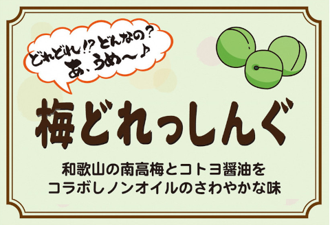 【老舗コトヨ醤油】500ml×3本 充実した調味料セット 1C08014
