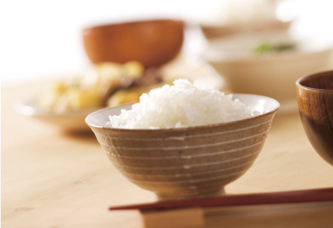 【低たんぱく質食品】 1/25 越後 ごはん 80食  (180g×20個×4箱)  バイオテックジャパン 越後シリーズ 1V04068