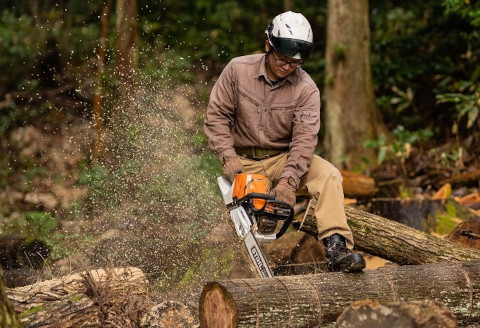 Junshin森から作る木のお皿3枚セット 2G03031