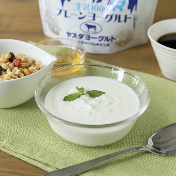 【5ヶ月定期便】ヤスダヨーグルト 食べるヨーグルト 600g×4個×5回 アレンジ名人セットA プレーン 1B79031