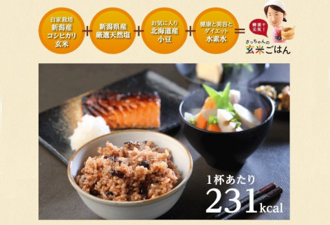 【4ヶ月定期便】さっちゃんの酵素玄米ごはん「冷凍タイプ」70g×2個×14パック×4回 コシヒカリ おにぎり 健康 美容 1F13077