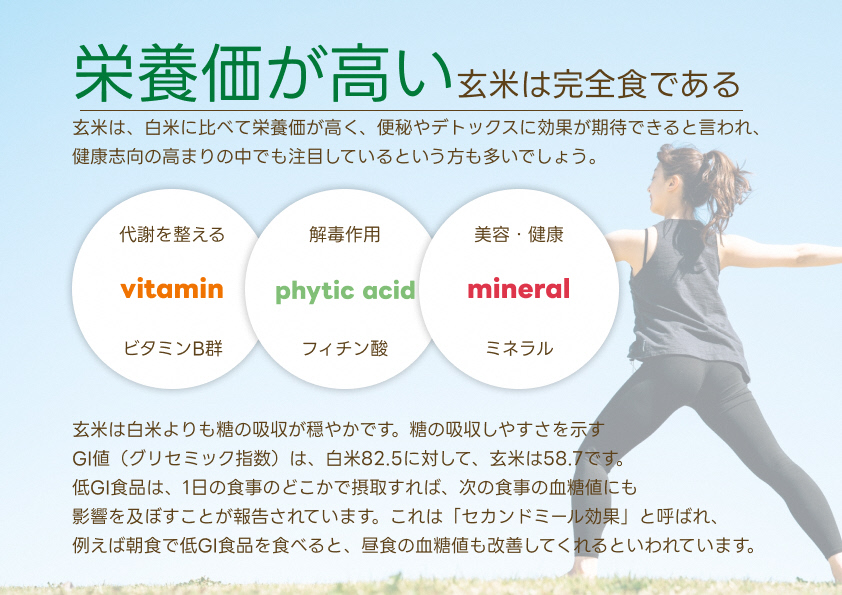 【令和7年産】【9ヶ月定期便】【炊飯器で普通に炊ける玄米】 ふっくら玄米食 6kg（2kg×3）×9回 新潟県阿賀野市産 米杜氏 壱成 特別栽培コシヒカリ 1H34199