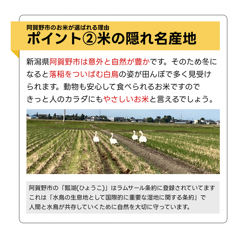 【令和7年産】【6か月定期便】 米杜氏 阿賀野市産 新之助 5kg×6回 計 30kg 1H53097