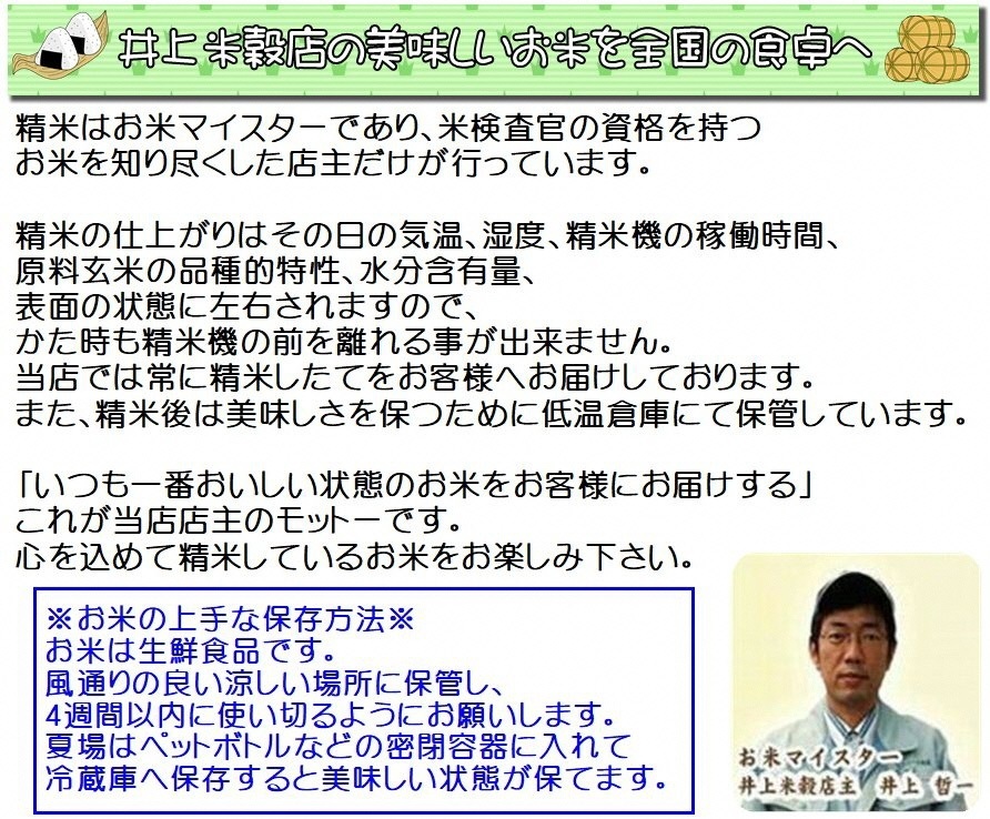 お米マイスターいち押し！！【令和7年産】新潟産こしいぶき 5kg 井上米穀店 1I28013