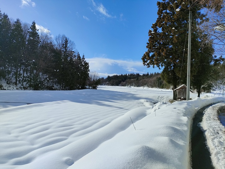 夢の谷ファームのこめ粉 250g×4袋 1U09008