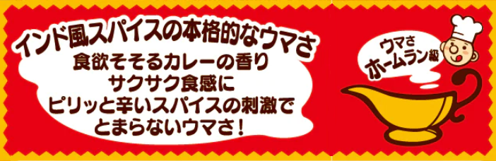 【12/21までの寄附で年内発送】亀田製菓 亀田のカレーせん 15枚 12袋 2A03010