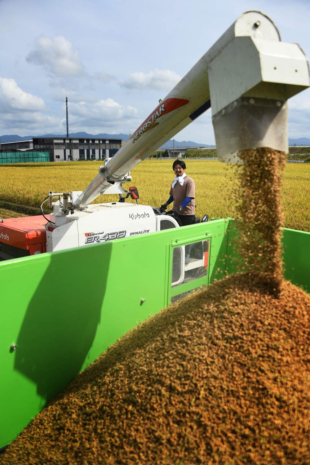【令和7年産】新潟県阿賀野市産 新之助 5kg 3D03015