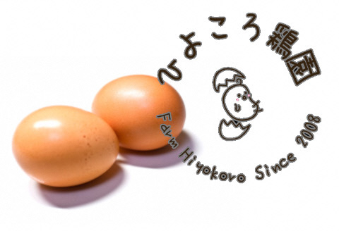 【あずさと四種の地鶏詰め合わせ】あじわいたまごセット ひよころ鶏園 1R01010