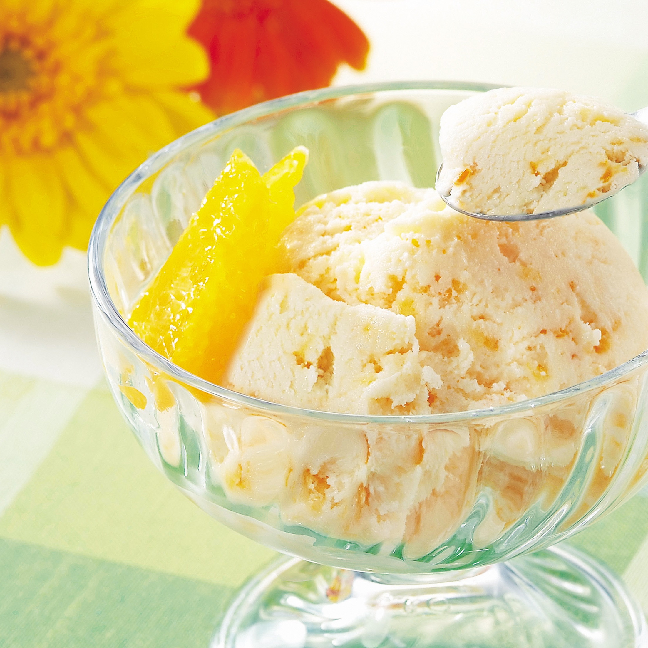 【12/21までの寄附で年内発送】ヤスダヨーグルト フローズンヨーグルト&アイスセット 12個 1B48014