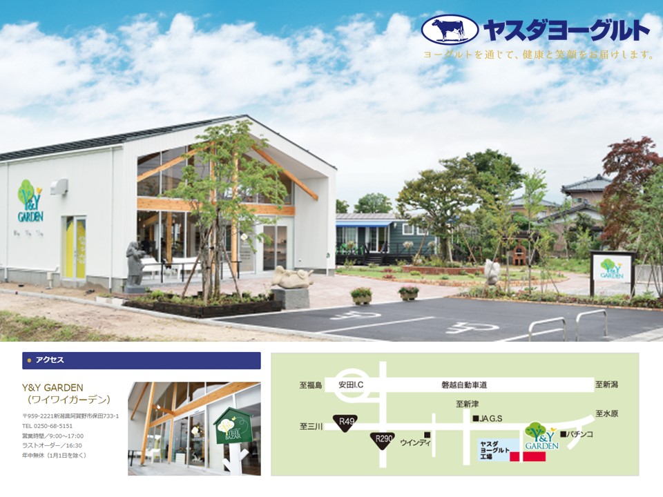 【3ヶ月定期便】ヤスダヨーグルト 大ボトル 800g×10本 1B89043