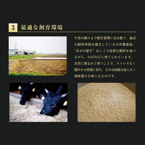 【6か月定期便】あがの姫牛コース 毎月違うお肉をお届け 計3.2kg 1D23104