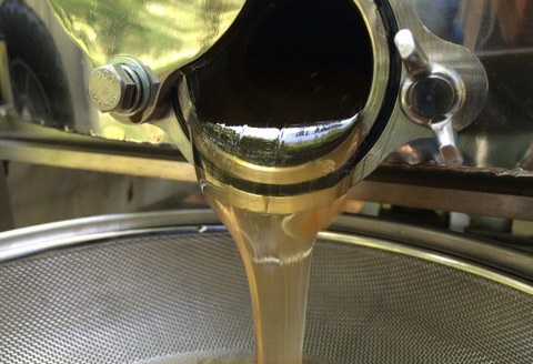 【環境大臣賞受賞】【特別賞受賞】阿賀野市産 天然 はちみつ 2本セット HACHIBEI 1L01009